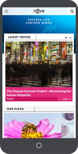 nova-website-home-mobile